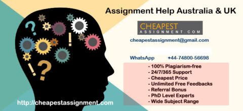 STRATEGIC INFORMATION SYSTEMS ASSIGNMENT