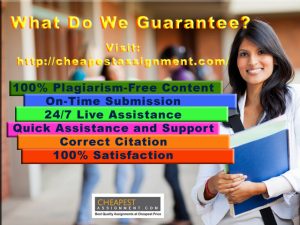 HI6025 Accounting Theory and Current Issue Assignment