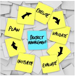 Extensively Used For The Purpose Of The Project Management