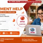 Student receiving SPSS assignment help for statistical analysis, regression, hypothesis testing, and dissertation research